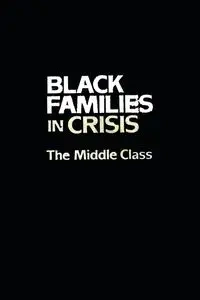 Black Families In Crisis - Coner-Edwards Alice F.
