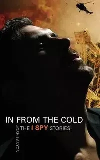 In From the Cold - Josh Lanyon