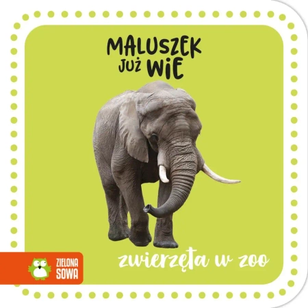 Maluszek już wie. Zwierzęta w zoo - praca zbiorowa