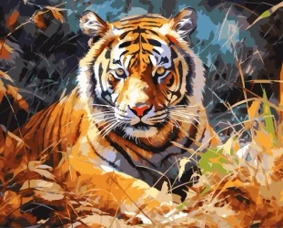 Malowanie po numerach 40x50 Tygrys - Koh-I-Noor