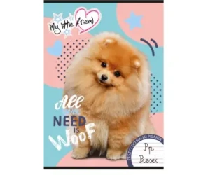 Paczka Zeszyt A5 16k kratka my little friend mix pakiet 15 szt. - ST-Majewski