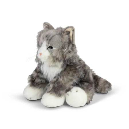 Puszysty Kot - One for Fun