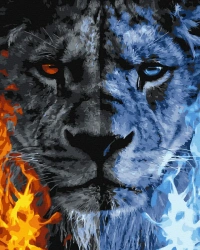 Twoje Hobby. Malowanie po numerach. Konfrontacja - Twoje Hobby