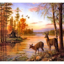 Mozaika diamentowa 5D - Jeleń 40x30cm - Titanum