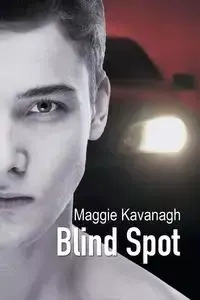Blind Spot - Maggie Kavanagh