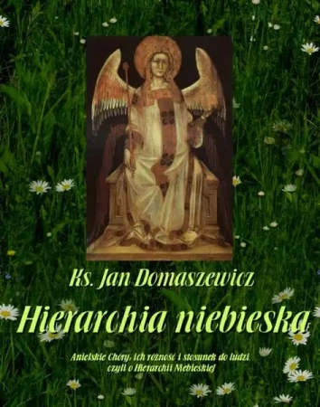 eBook Hierarchia niebieska - Jan Domaszewicz mobi epub