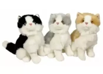 Koty 30cm MIX - Dubi