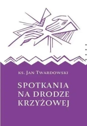Spotkania na drodze krzyżowej - Jan Twardowski