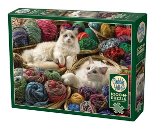 Puzzle 1000 Koty rasy Ragdoll 112233 - Cobble Hill