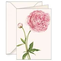 Karnet B6 + koperta 6136 Piwonia chińska 2 - Tassotti