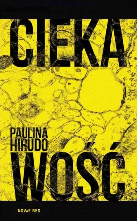 eBook Ciekawość - Paulina Hirudo epub mobi