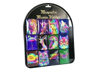 Magnes wypukły neon (12szt) - ADAR