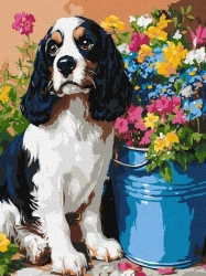 Malowanie po numerach - Uroczy spaniel 30x40cm - Ideyka