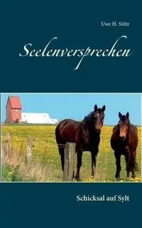 Seelenversprechen - Sültz Uwe H.