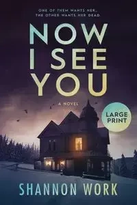 Now I See You - Shannon Work