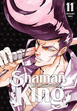 Shaman King. Tom 11 - Takei Hiroyuki