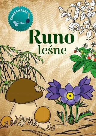 Kolorowanka. Runo Leśne - Katarzyna Kopiec Sekieta