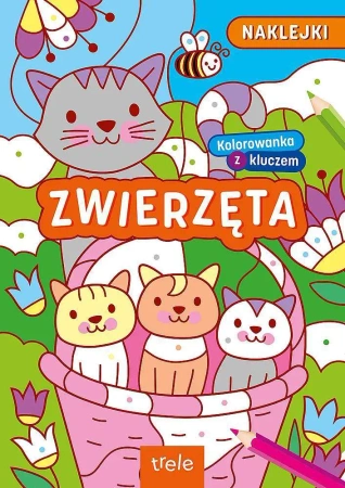Kolorowanki z kluczem. Zwierzęta - Opracowanie zbiorowe