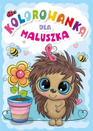 Kolorowanka dla maluszka - praca zbiorowa