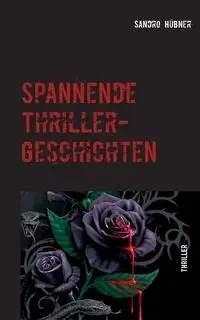 Spannende Thriller-Geschichten - Hübner Sandro
