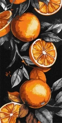 Malowanie po numerach-Sycylijskie pomarańcze 40x80 - Ideyka