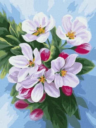 Malowanie po numerach - Kwitnięcie jabłoni 30x40cm - Ideyka