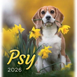 Kalendarz 2026 wieloplanszowy 33x33cm Psy - Artsezon