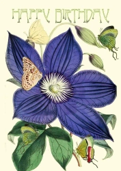 Karnet B6 z kopertą Urodziny Powojnik - Madame Treacle