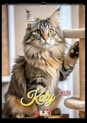 Kalendarz 2026 A4 ścienny na spirali koty - Pan Kalendarzyk