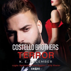 audiobook Costello Brothers. Terror - K.E. December