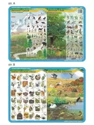 Podkładka edu. 020 - Piętrowość w górach i lesie.. - Visual System