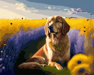 Malowanie po numerach + złota farba - Złoty pies.. - Twoje Hobby