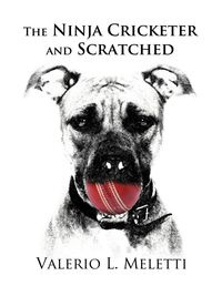 The Ninja Cricketer and Scratched - Meletti Valerio L.