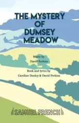 The Mystery of Dumsey Meadow - David Perkins