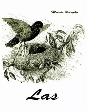 eBook Las - Maria Weryho epub mobi