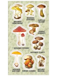 Naklejki Trujące grzyby - Ranok-Creative