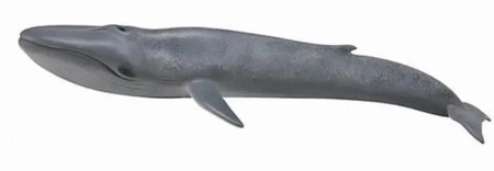 Blue Whale - Collecta
