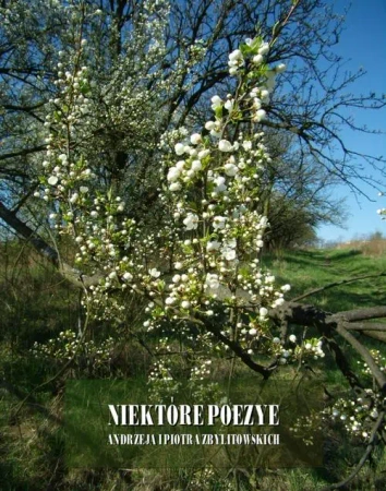 eBook Niektóre poezye Andrzeja i Piotra Zbylitowskich - Andrzej Zbylitowski mobi epub