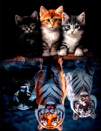 Diamentowa Mozaika Koty z odbiciem tygrysów w wodzie NO-2003125 - Norimpex