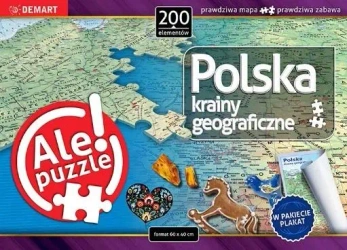 Puzzle - Polska Krainy geograficzne - opracowanie zbiorowe