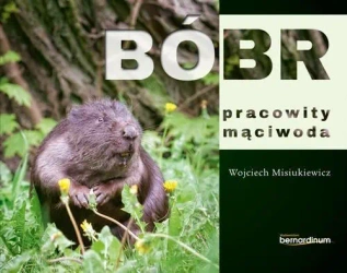 Bóbr - pracowity mąciwoda - Wojciech Misiukiewicz