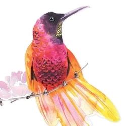 Karnet Swarovski kwadrat CL1233 Koliber - Clear Creations