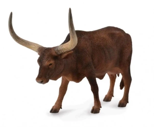 Krowa ankole-watusi - COLLECTA