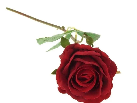 Róża piankowa 52cm - ADAR