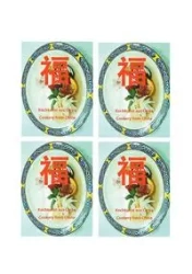 Kochkunst aus China - Yang-Möller Qiufu
