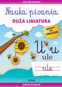 Nauka pisania. Duża liniatura. Zeszyt do ćwiczeń - Beata Guzowska