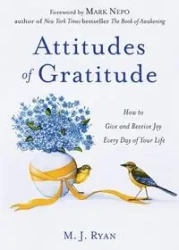Attitudes of Gratitude - Ryan M.J.