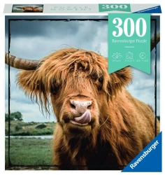 Puzzle Moment 300 Szkocka krowa - Ravensburger