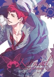 Karneval. Tom 9 - Touya Mikanagi