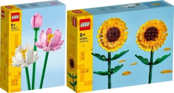LEGO BOTANICALS SŁONECZNIKI 40524 + LEGO BOTANICALS KWIATY LOTOSU 40647